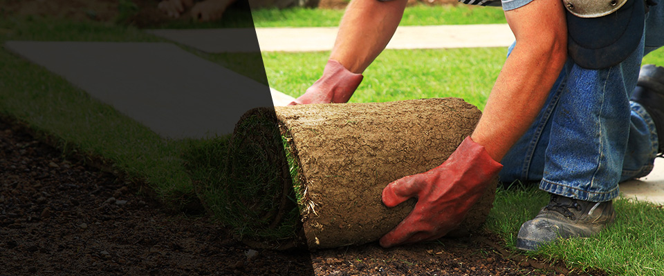 Beecher Landscapers